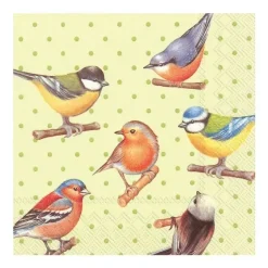 Abbott Beverage Napkins 20pk - Birds on Dots - Little Painter Art | Exploring the Endless Possibilities of Art| Shop All