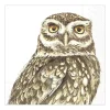 Abbott Beverage Napkins 20pk - Owl - Little Painter Art | Exploring the Endless Possibilities of Art| Shop All