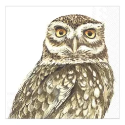 Abbott Beverage Napkins 20pk - Owl - Little Painter Art | Exploring the Endless Possibilities of Art| Shop All