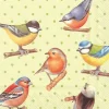 Abbott Lunch Napkins 20pk - Flock of Birds - Little Painter Art | Exploring the Endless Possibilities of Art| Hot