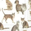 Abbott Lunch Napkins 20pk - Cats - Little Painter Art | Exploring the Endless Possibilities of Art| Shop All