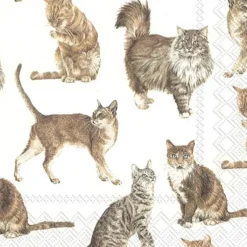 Abbott Lunch Napkins 20pk - Cats - Little Painter Art | Exploring the Endless Possibilities of Art| Shop All