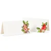 Abbott Placecards 20pk - Cardinal - Little Painter Art | Exploring the Endless Possibilities of Art| Shop All