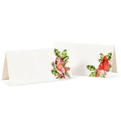 Abbott Placecards 20pk - Cardinal - Little Painter Art | Exploring the Endless Possibilities of Art| Shop All