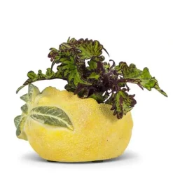 Abbott Planter - Lemon-Shaped - Little Painter Art | Exploring the Endless Possibilities of Art| Shop All