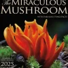Amber Lotus 2025 Wall Calendar - The Miraculous Mushroom - Little Painter Art | Exploring the Endless Possibilities of Art| Shop All