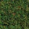 Amscan Craft and Decor Moss - Little Painter Art | Exploring the Endless Possibilities of Art| Hot