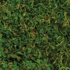 Amscan Craft and Decor Moss - Little Painter Art | Exploring the Endless Possibilities of Art| Hot