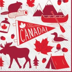 Amscan Lunch Napkins 20pk - Canadian Pride - Little Painter Art | Exploring the Endless Possibilities of Art| Shop All