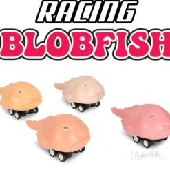 Archie McPhee Racing Blobfish, Assorted - Little Painter Art | Exploring the Endless Possibilities of Art| Shop All