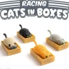 Archie McPhee Racing Cats in Boxes - Assorted - Little Painter Art | Exploring the Endless Possibilities of Art| Hot