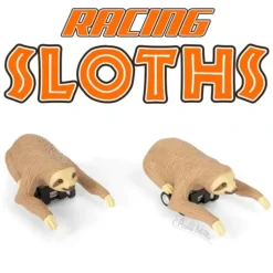 Archie McPhee Sloth Wind Up Toy, Assorted - Little Painter Art | Exploring the Endless Possibilities of Art| Hot