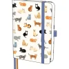 Art File A5 Lined Notebook - Cats - Little Painter Art | Exploring the Endless Possibilities of Art| Shop All