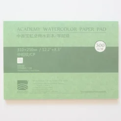 Baohong Academy 300g 31x21cm Cold pressed 20 sheets - Little Painter Art | Exploring the Endless Possibilities of Art| Shop All