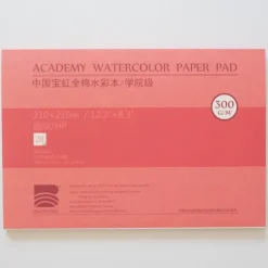 Baohong Academy 300g 31x21cm Hot pressed 20 sheets - Little Painter Art | Exploring the Endless Possibilities of Art| Shop All