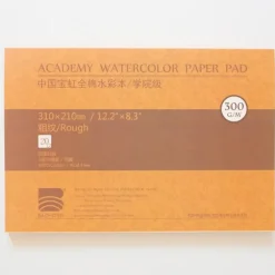 Baohong Academy 300g 31x21cm Rough 20 sheets - Little Painter Art | Exploring the Endless Possibilities of Art| Shop All