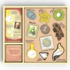BeginAgain Artyfacts Art & Stencil Kit - Little Painter Art | Exploring the Endless Possibilities of Art| Shop All