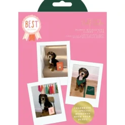 Best In Show Puppy Milestone Cards - Violet Studios - Little Painter Art | Exploring the Endless Possibilities of Art| Shop All