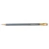 Blackwing Palomino Pencils 12pk - 602: Firm - Little Painter Art | Exploring the Endless Possibilities of Art| Shop All