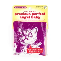 Blue Q Organic Catnip Cat Toy - Precious Perfect Angel Baby - Little Painter Art | Exploring the Endless Possibilities of Art| Hot