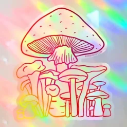 Boss Dotty Suncatcher Sticker - Mushroom - Little Painter Art | Exploring the Endless Possibilities of Art| Hot