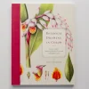 Botanical Drawing in Color by Hollender - Little Painter Art | Exploring the Endless Possibilities of Art| Shop All