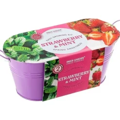 Boutique Garden Starter Kit - Strawberry & Mint - Little Painter Art | Exploring the Endless Possibilities of Art| Shop All