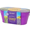 Boutique Garden Starter Kit - Lavender & Thyme - Little Painter Art | Exploring the Endless Possibilities of Art| Shop All