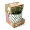 Boutique Garden Starter Kit - Polka Dot Plant - Little Painter Art | Exploring the Endless Possibilities of Art| Shop All