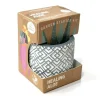 Boutique Garden Starter Kit - Healing Aloe - Little Painter Art | Exploring the Endless Possibilities of Art| Shop All