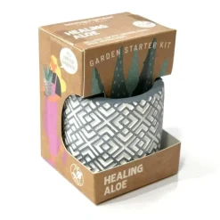 Boutique Garden Starter Kit - Healing Aloe - Little Painter Art | Exploring the Endless Possibilities of Art| Shop All