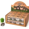 Boutique Garden Wild Adventure Grass Hair Kits, Assorted - Little Painter Art | Exploring the Endless Possibilities of Art| Shop All