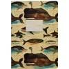 Bruno Visconti A5 Notebook - Whales - Little Painter Art | Exploring the Endless Possibilities of Art| Shop All