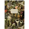 Bruno Visconti A5 Notebook - Forest Floor - Little Painter Art | Exploring the Endless Possibilities of Art| Shop All