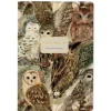 Bruno Visconti A5 Notebook - Owls - Little Painter Art | Exploring the Endless Possibilities of Art| Shop All