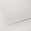 Canson C Grain Drawing Sheet, 19.5" x 25.5", 138lb / 224g - Little Painter Art | Exploring the Endless Possibilities of Art| Shop All