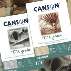 Canson CA Grain Toned Pads 250gsm 30 sheets - Little Painter Art | Exploring the Endless Possibilities of Art| Shop All