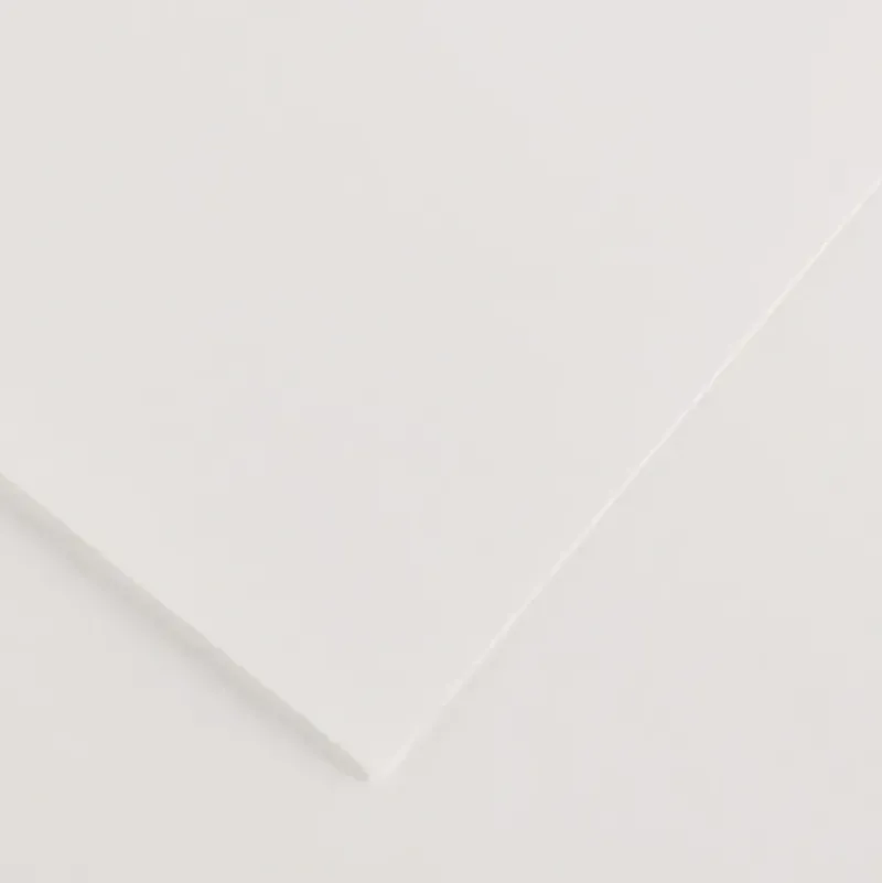 Canson Colorline Sheet, 19.5" x 25.5" 300g White - Little Painter Art | Exploring the Endless Possibilities of Art| Shop All
