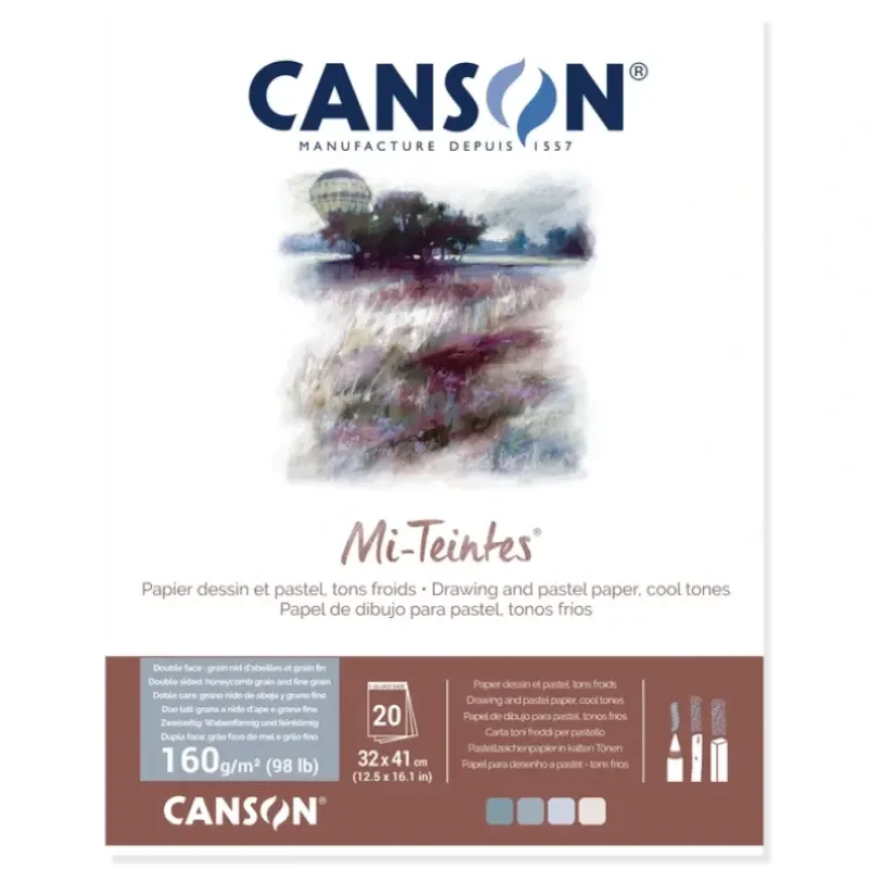Canson Mi-Teintes Pad - 160gsm (98lb) - 32x41cm - 20 sheets - COOL TONES - Little Painter Art | Exploring the Endless Possibilities of Art| Pigment