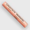 Caran d'Ache Artist Neopastel 051 Salmon - Little Painter Art | Exploring the Endless Possibilities of Art| Shop All
