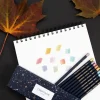 Caran d'Ache Cosmic Blue set 10 pencils - Little Painter Art | Exploring the Endless Possibilities of Art| Shop All