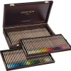 Caran d'Ache Dry Pastel Pencils - Wooden Box Set of 84 - Little Painter Art | Exploring the Endless Possibilities of Art| Pigment