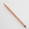 Caran d'Ache Luminance 6901 866 Burnt Sienna 50% - Little Painter Art | Exploring the Endless Possibilities of Art| Pigment