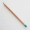Caran d'Ache Luminance 6901 214 Beryl Green - Little Painter Art | Exploring the Endless Possibilities of Art| Pigment