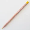 Caran d'Ache Luminance 6901 523 Indian Yellow - Little Painter Art | Exploring the Endless Possibilities of Art| Pigment