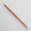 Caran d'Ache Luminance 6901 842 Raw Umber 10% - Little Painter Art | Exploring the Endless Possibilities of Art| Pigment