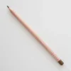 Caran d'Ache Luminance 6901 548 Raw Umber - Little Painter Art | Exploring the Endless Possibilities of Art| Pigment
