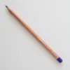 Caran d'Ache Luminance 6901 120 Violet - Little Painter Art | Exploring the Endless Possibilities of Art| Pigment