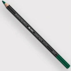 Caran d'Ache Museum 225 Moss Green - Little Painter Art | Exploring the Endless Possibilities of Art| Pigment