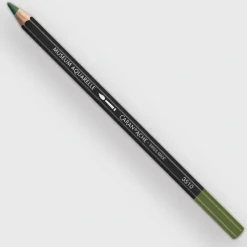 Caran d'Ache Museum 249 Olive - Little Painter Art | Exploring the Endless Possibilities of Art| Pigment